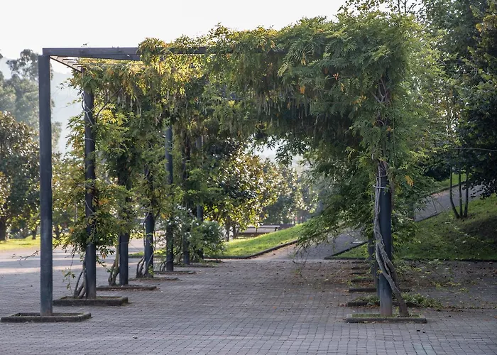 Anclas 2* エル・アスティジェロ